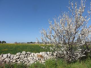 Catacombe cava Palombieri